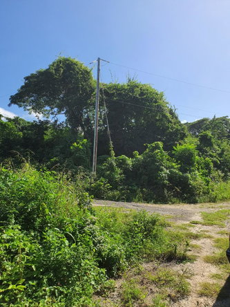 Fourth image of 177 Cardiff Hall, st Ann in Runaway Bay, St. Ann, Jamaica - property is For Sale