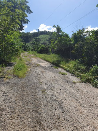 Sixth image of 177 Cardiff Hall, st Ann in Runaway Bay, St. Ann, Jamaica - property is For Sale
