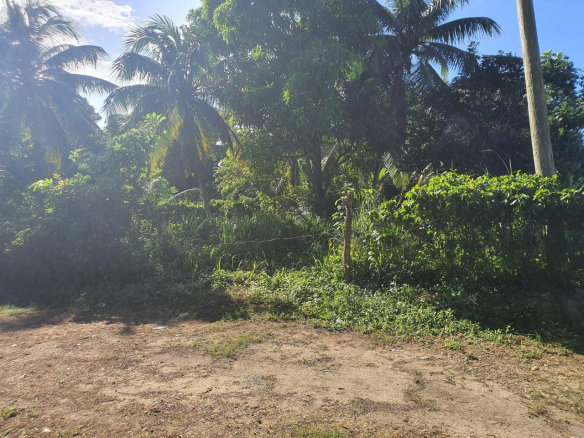 First image of 177 Cardiff Hall, st Ann in Runaway Bay, St. Ann, Jamaica - property is For Sale