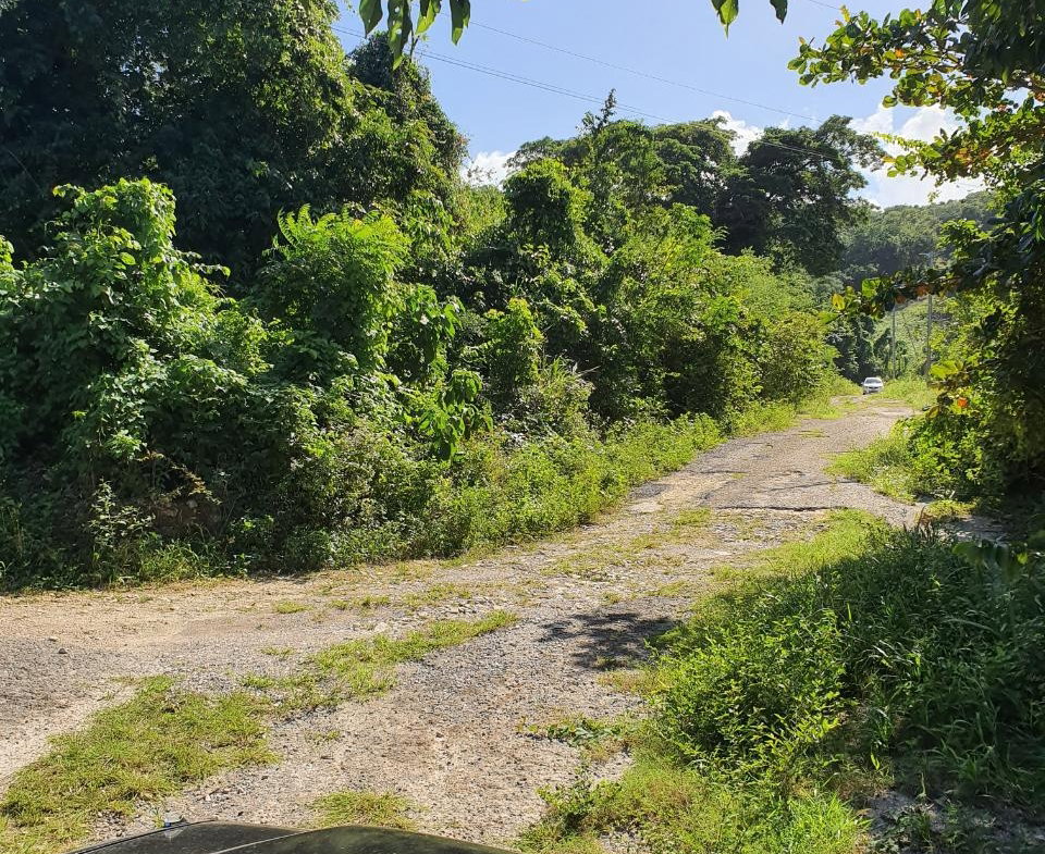 Seventh image of 177 Cardiff Hall, st Ann in Runaway Bay, St. Ann, Jamaica - property is For Sale
