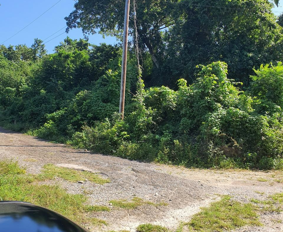 Eighth image of 177 Cardiff Hall, st Ann in Runaway Bay, St. Ann, Jamaica - property is For Sale