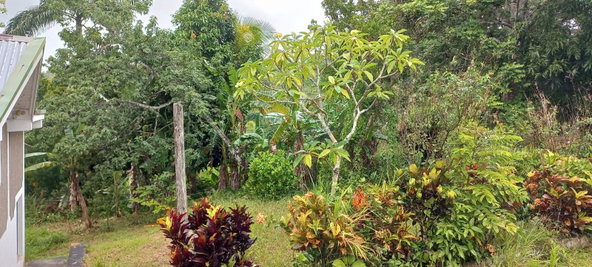 Thirteenth image of Waterford, Guys Hill in GUYS HILL, St. Catherine, Jamaica - property is For Sale