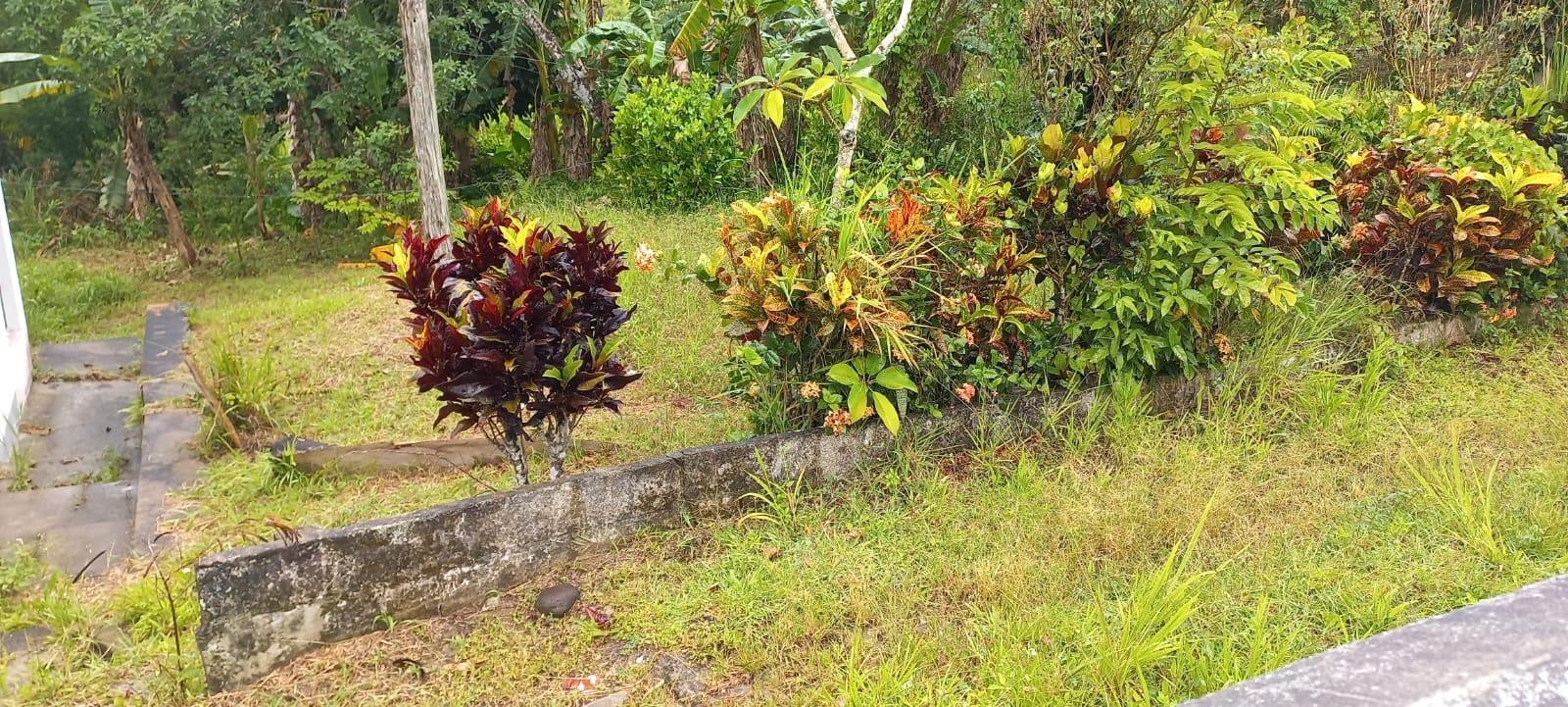 Fourteenth image of Waterford, Guys Hill in GUYS HILL, St. Catherine, Jamaica - property is For Sale