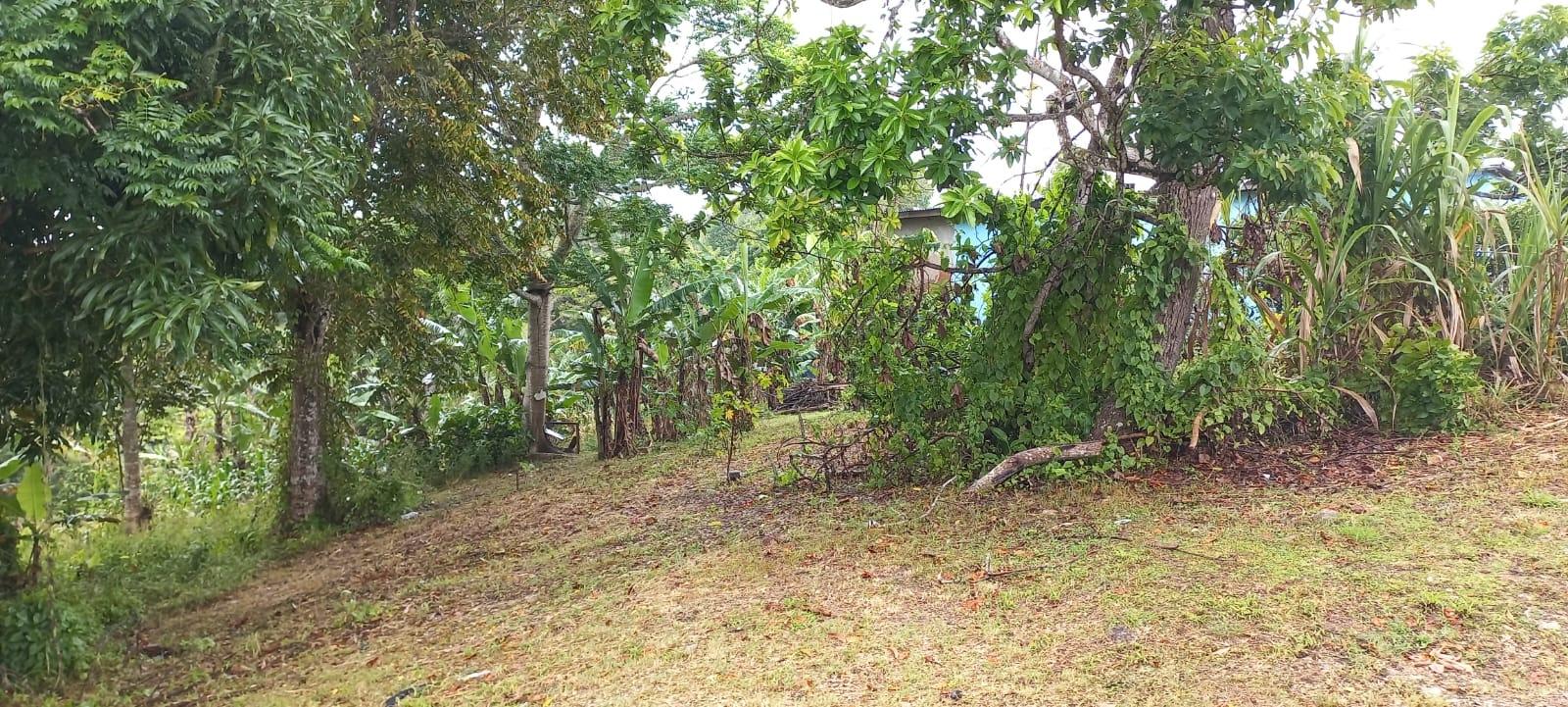 Sixteenth image of Waterford, Guys Hill in GUYS HILL, St. Catherine, Jamaica - property is For Sale