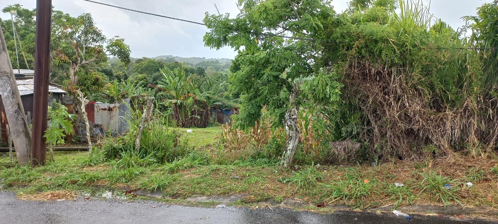 Nineteenth image of Waterford, Guys Hill in GUYS HILL, St. Catherine, Jamaica - property is For Sale