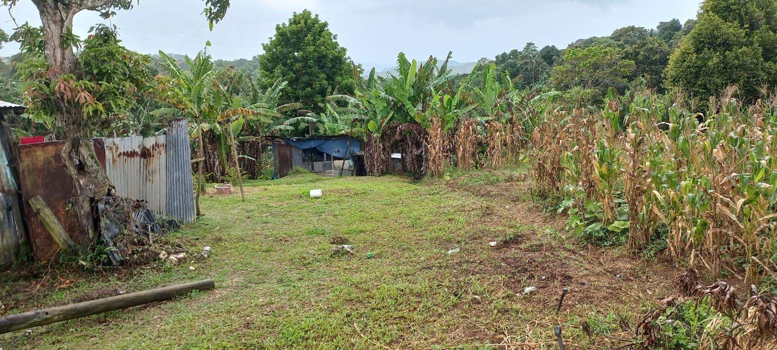 Twentieth image of Waterford, Guys Hill in GUYS HILL, St. Catherine, Jamaica - property is For Sale