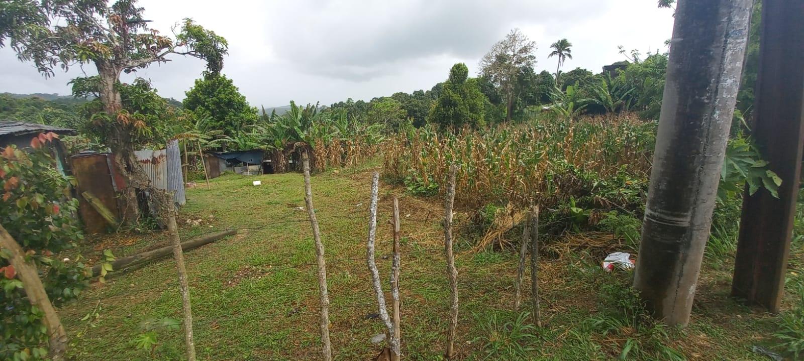 Fourth image of Waterford, Guys Hill in GUYS HILL, St. Catherine, Jamaica - property is For Sale