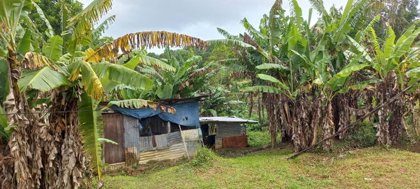 Fifth image of Waterford, Guys Hill in GUYS HILL, St. Catherine, Jamaica - property is For Sale