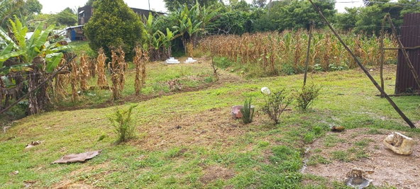 Seventh image of Waterford, Guys Hill in GUYS HILL, St. Catherine, Jamaica - property is For Sale