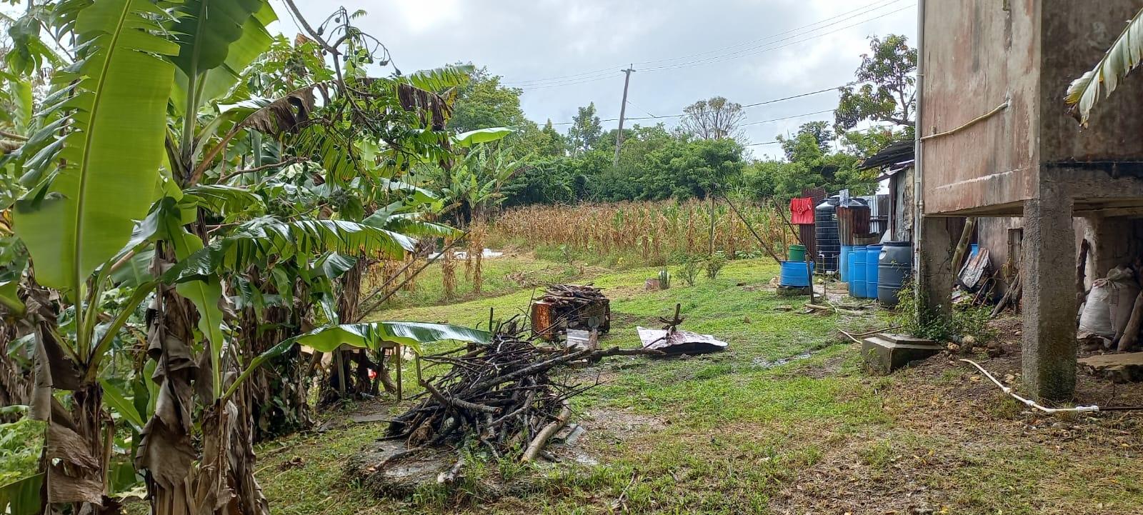 Eighth image of Waterford, Guys Hill in GUYS HILL, St. Catherine, Jamaica - property is For Sale