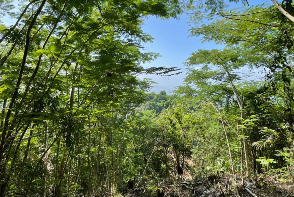 Second image of Belvedere Drive in Belvedere, St. Andrew, Jamaica - property is For Sale