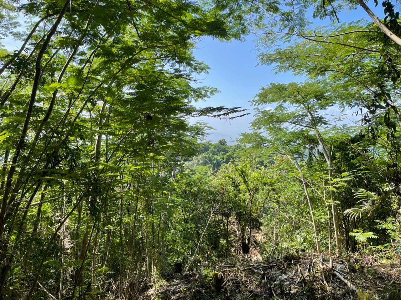 Second image of Belvedere Drive in Belvedere, St. Andrew, Jamaica - property is For Sale