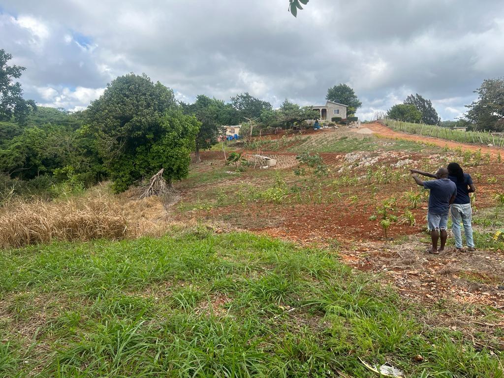 Second image of Cross Key in Cocoa Walk, Manchester, Jamaica - property is For Sale