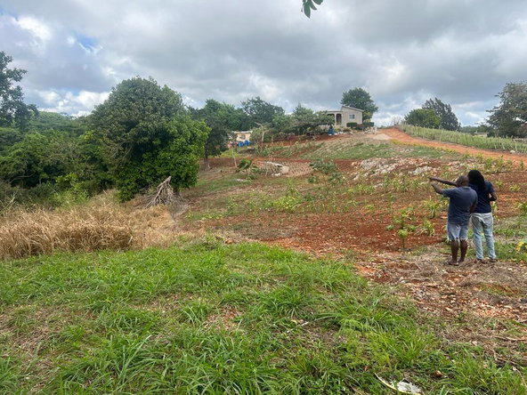 Second image of Cross Key in Cocoa Walk, Manchester, Jamaica - property is For Sale