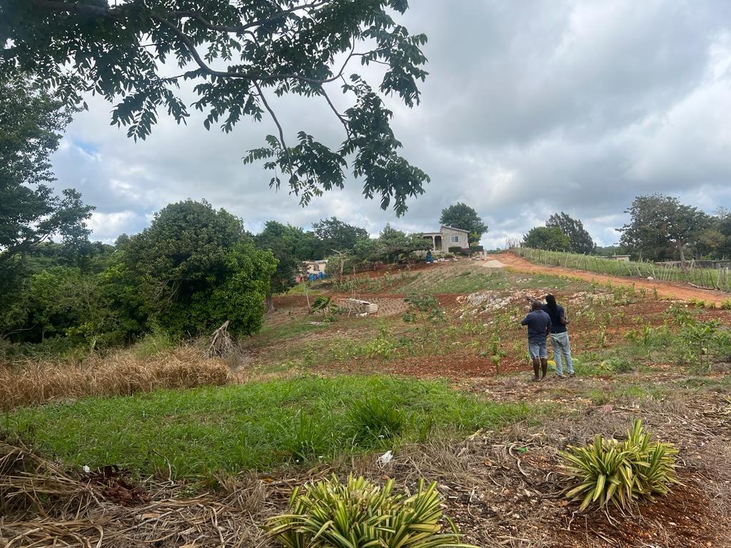 Third image of Cross Key in Cocoa Walk, Manchester, Jamaica - property is For Sale