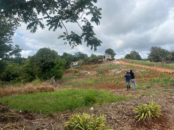 Third image of Cross Key in Cocoa Walk, Manchester, Jamaica - property is For Sale