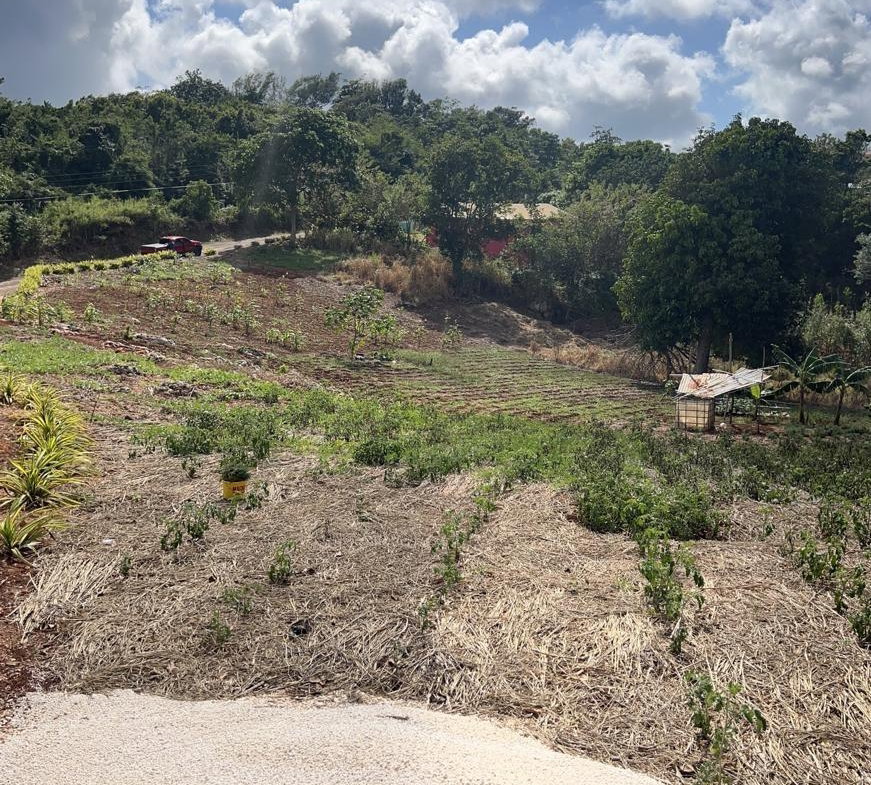 Fifth image of Cross Key in Cocoa Walk, Manchester, Jamaica - property is For Sale