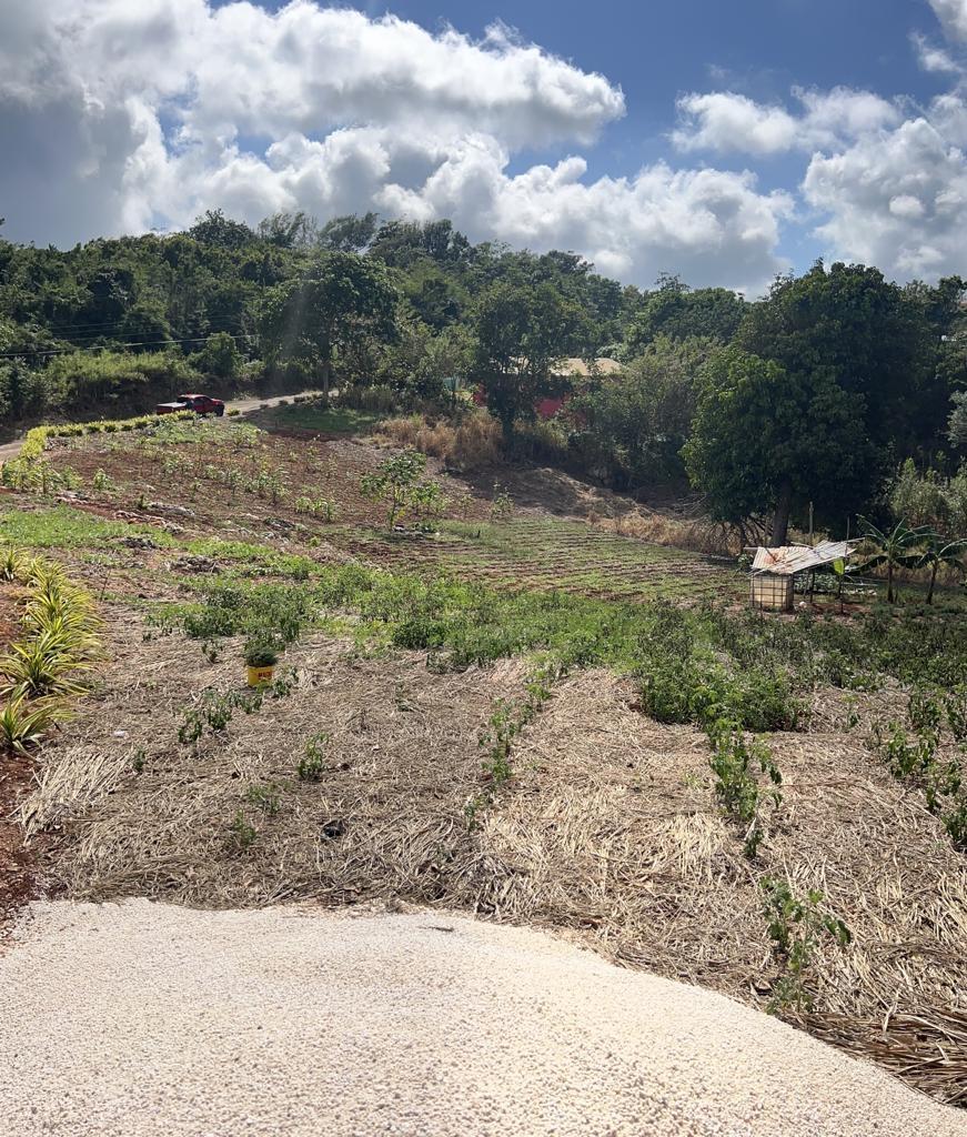 1.3-Acre-Residential-Lot-for-Sale-in-Cross-Key-Jamaica Fifth image of Cross Key in Cocoa Walk, Manchester, Jamaica - property is For Sale