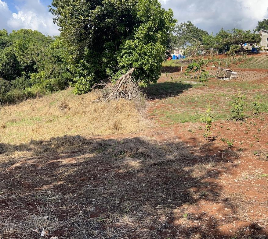 Eighth image of Cross Key in Cocoa Walk, Manchester, Jamaica - property is For Sale