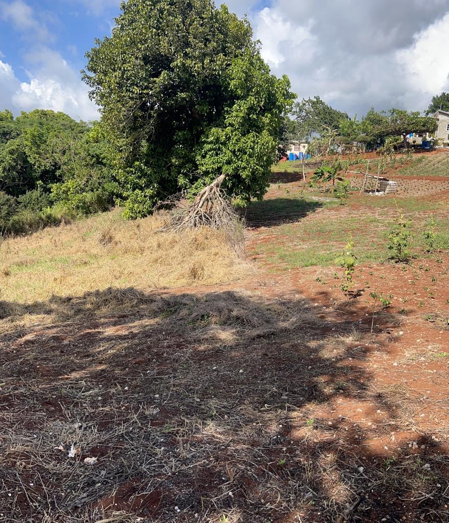 1.3-Acre-Residential-Lot-for-Sale-in-Cross-Key-Jamaica Eighth image of Cross Key in Cocoa Walk, Manchester, Jamaica - property is For Sale