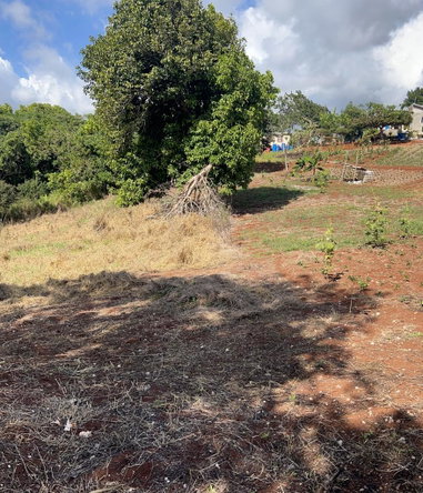 Eighth image of Cross Key in Cocoa Walk, Manchester, Jamaica - property is For Sale