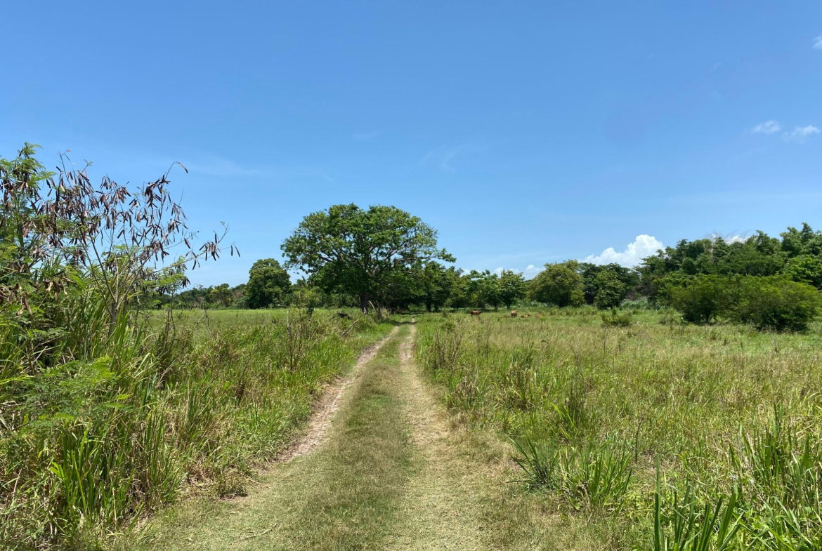 Second image of Part of Bushy Park, St. c in Bushy Park, St. Catherine, Jamaica - property is For Sale