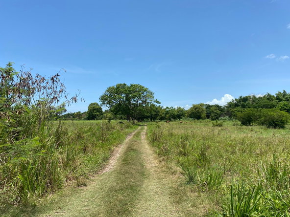 Second image of Part of Bushy Park, St. c in Bushy Park, St. Catherine, Jamaica - property is For Sale