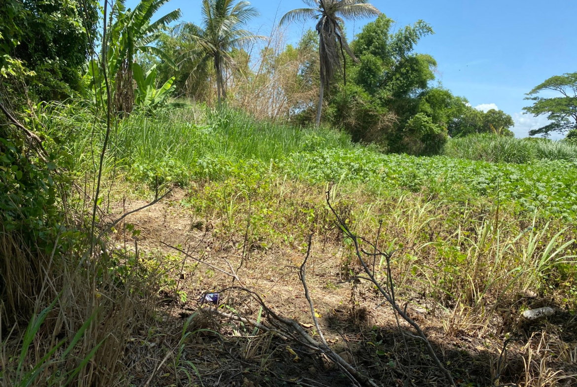 Eleventh image of Part of Bushy Park, St. c in Bushy Park, St. Catherine, Jamaica - property is For Sale