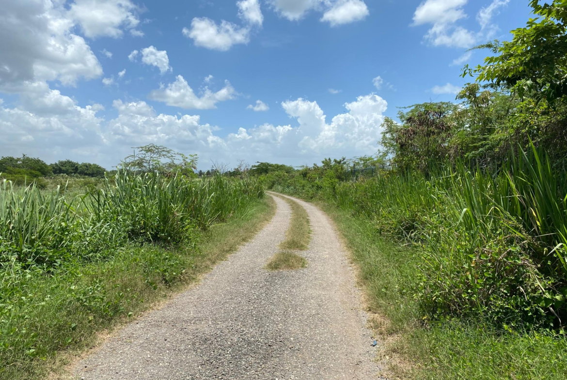 First image of Part of Bushy Park, St. c in Bushy Park, St. Catherine, Jamaica - property is For Sale