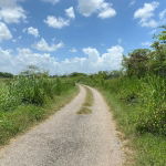First image of Part of Bushy Park, St. c in Bushy Park, St. Catherine, Jamaica - property is For Sale