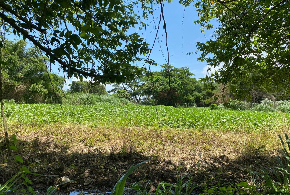 Third image of Part of Bushy Park, St. c in Bushy Park, St. Catherine, Jamaica - property is For Sale