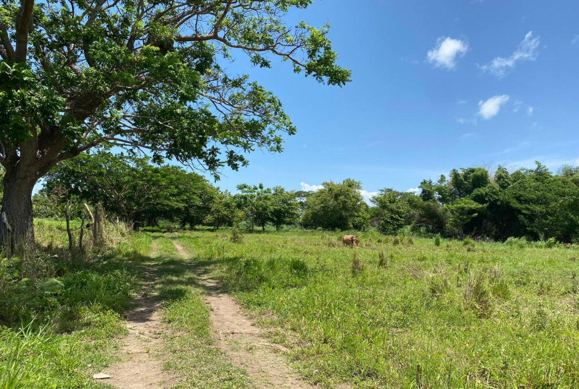 Sixth image of Part of Bushy Park, St. c in Bushy Park, St. Catherine, Jamaica - property is For Sale