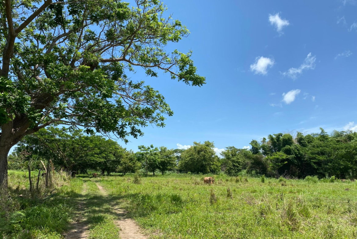 Seventh image of Part of Bushy Park, St. c in Bushy Park, St. Catherine, Jamaica - property is For Sale