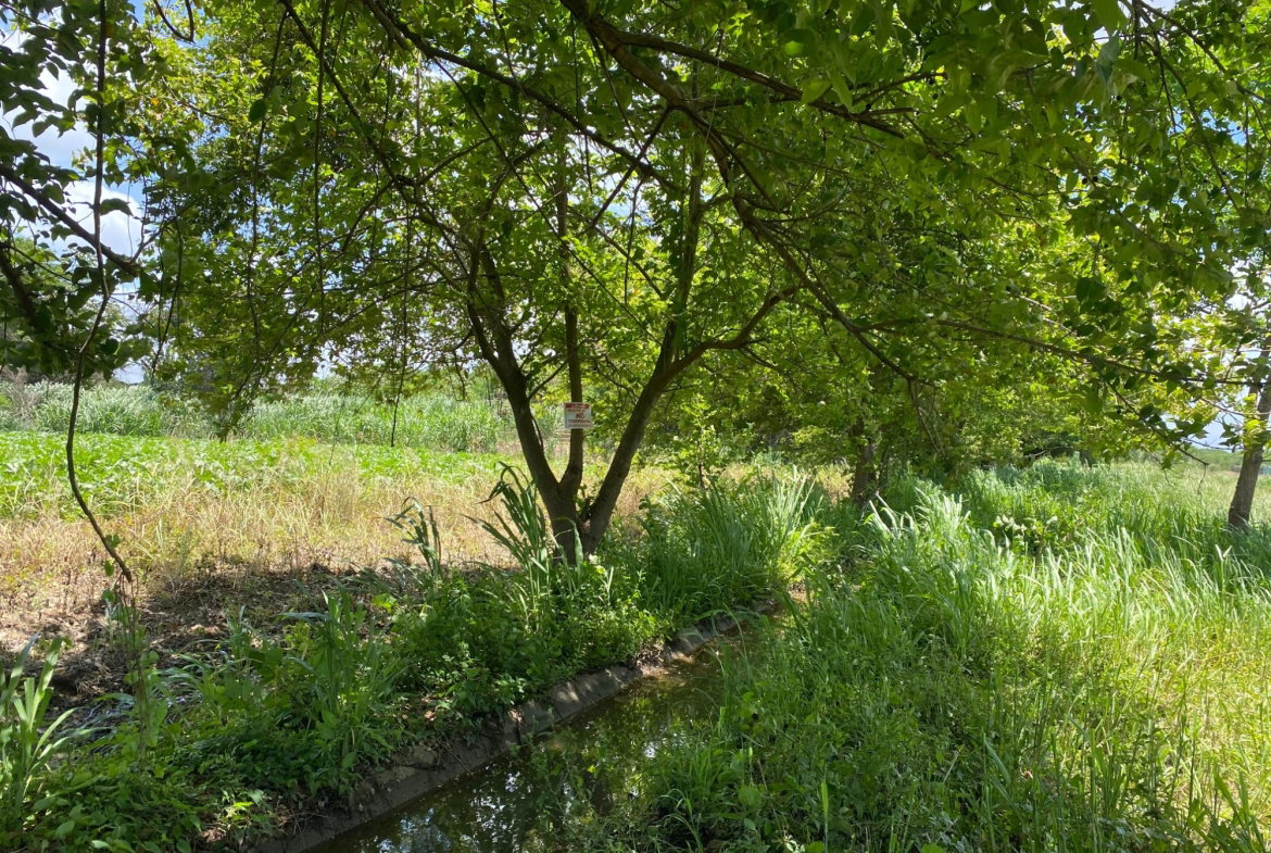 Eighth image of Part of Bushy Park, St. c in Bushy Park, St. Catherine, Jamaica - property is For Sale