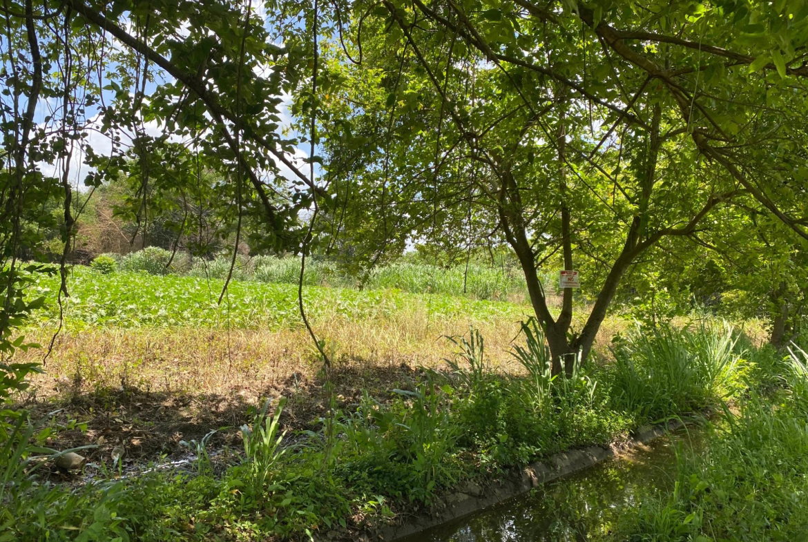 Ninth image of Part of Bushy Park, St. c in Bushy Park, St. Catherine, Jamaica - property is For Sale