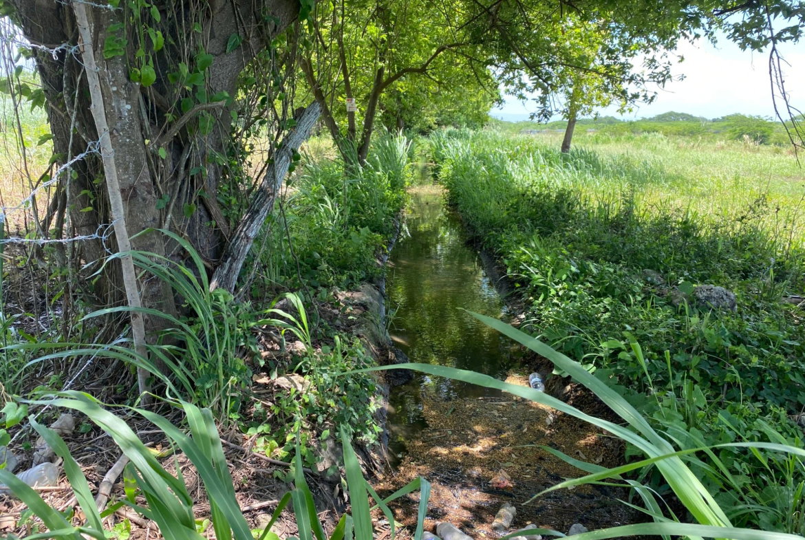 Tenth image of Part of Bushy Park, St. c in Bushy Park, St. Catherine, Jamaica - property is For Sale