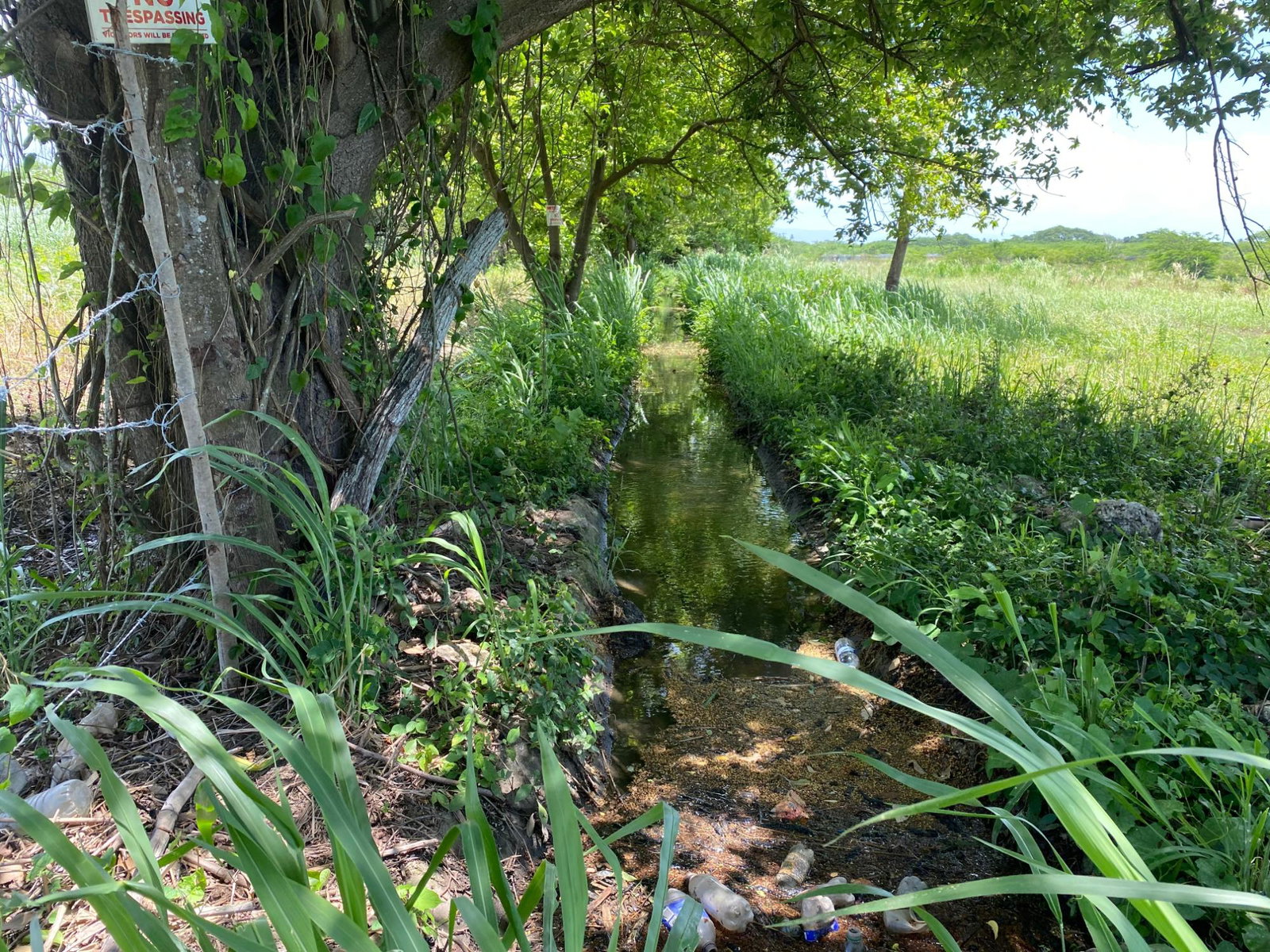 Tenth image of Part of Bushy Park, St. c in Bushy Park, St. Catherine, Jamaica - property is For Sale