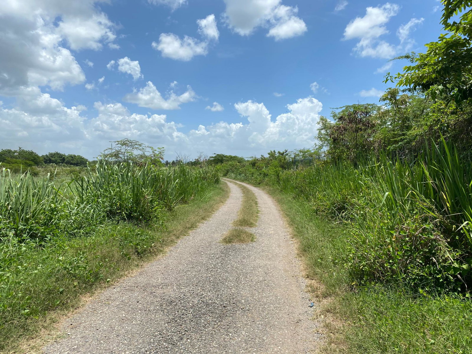 First image of Part of Bushy Park, St. c in Bushy Park, St. Catherine, Jamaica - property is For Sale