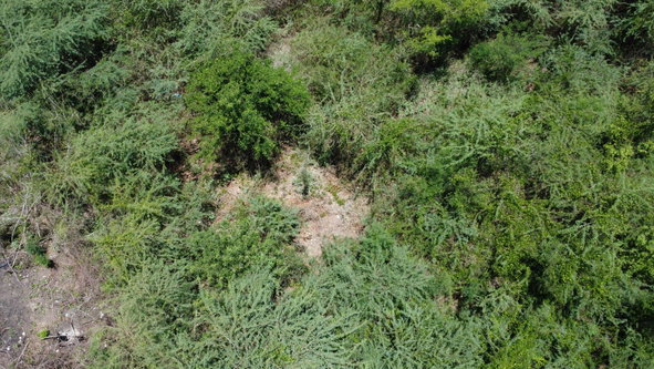 Thirteenth image of 51 3rd Street, New Bowens in Halse Hall, Clarendon, Jamaica - property is For Sale
