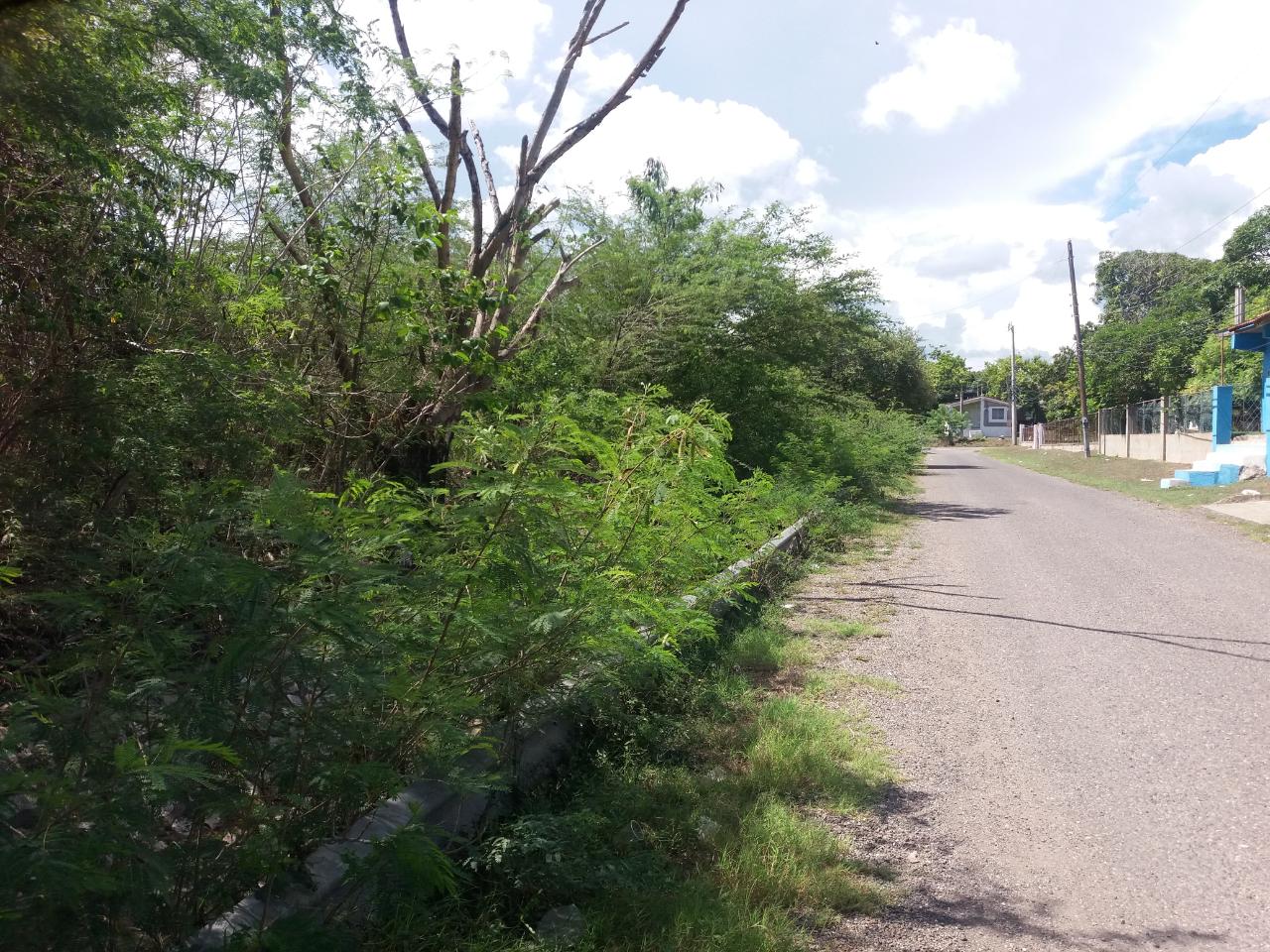 Nineteenth image of 51 3rd Street, New Bowens in Halse Hall, Clarendon, Jamaica - property is For Sale