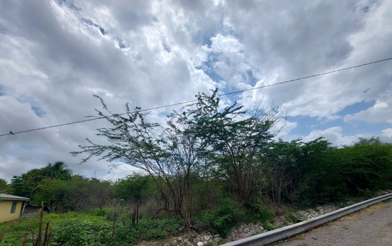 Twentieth image of 51 3rd Street, New Bowens in Halse Hall, Clarendon, Jamaica - property is For Sale