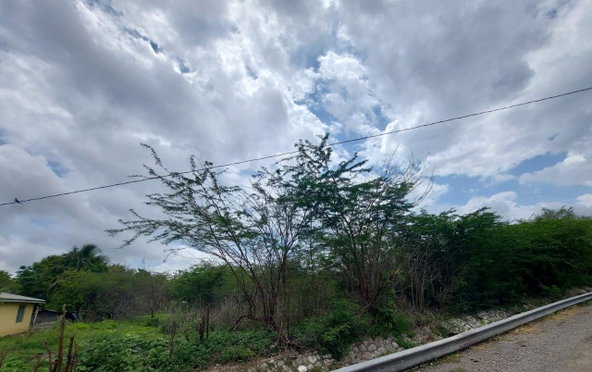 Twentieth image of 51 3rd Street, New Bowens in Halse Hall, Clarendon, Jamaica - property is For Sale