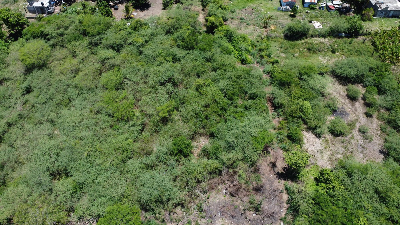 Twenty-Fourth image of 51 3rd Street, New Bowens in Halse Hall, Clarendon, Jamaica - property is For Sale