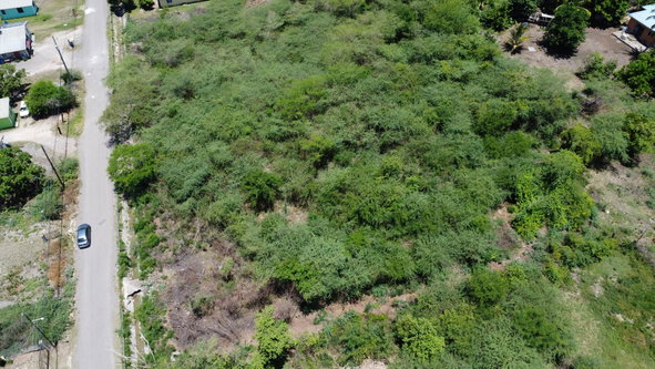 Twenty-Fifth image of 51 3rd Street, New Bowens in Halse Hall, Clarendon, Jamaica - property is For Sale