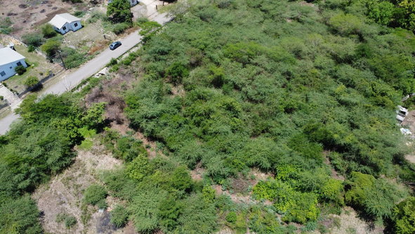 Twenty-Sixth image of 51 3rd Street, New Bowens in Halse Hall, Clarendon, Jamaica - property is For Sale