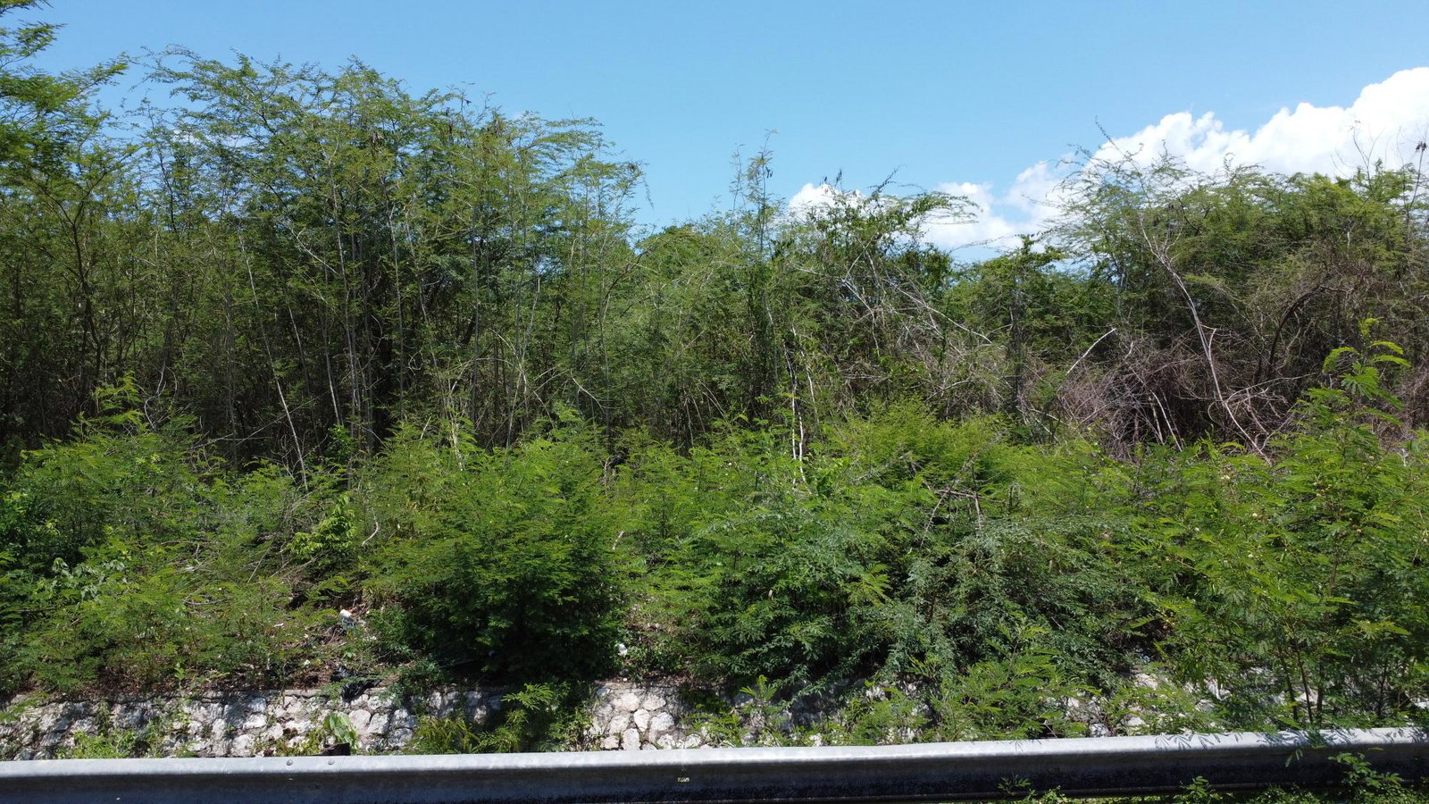 Fifth image of 51 3rd Street, New Bowens in Halse Hall, Clarendon, Jamaica - property is For Sale