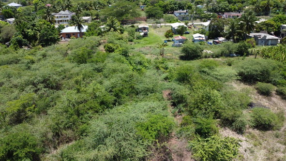 Sixth image of 51 3rd Street, New Bowens in Halse Hall, Clarendon, Jamaica - property is For Sale