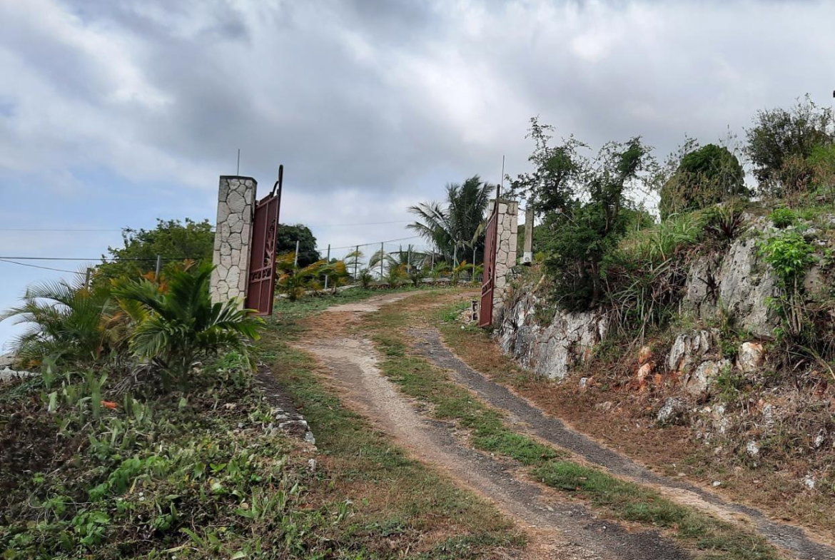 Second image of Lot #80-belvedere Belvedere Road in Belvedere, St. Andrew, Jamaica - property is For Sale