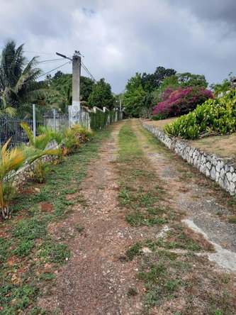 Fourth image of Lot #80-belvedere Belvedere Road in Belvedere, St. Andrew, Jamaica - property is For Sale