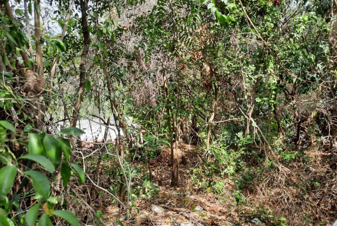 Fifth image of Lot #80-belvedere Belvedere Road in Belvedere, St. Andrew, Jamaica - property is For Sale